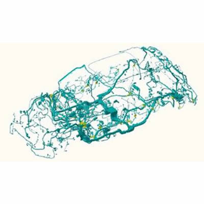 New Opportunities for High-Voltage Harness: New Energy Vehicles Need Better 